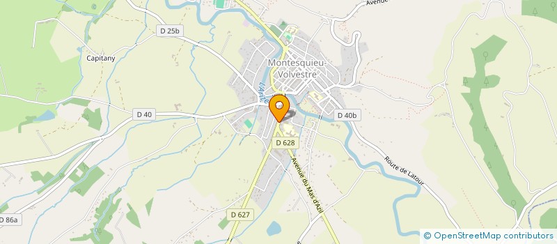 localisation de l'entreprise MONSIEUR PIERRE FEDABEILLE  MONTESQUIEU-VOLVESTRE