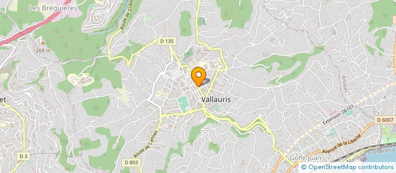 localisation de l'entreprise MONSIEUR PIERRE FIEVET à VALLAURIS