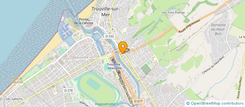 localisation de l'entreprise MONSIEUR PIERRE FLEURY à TROUVILLE-SUR-MER