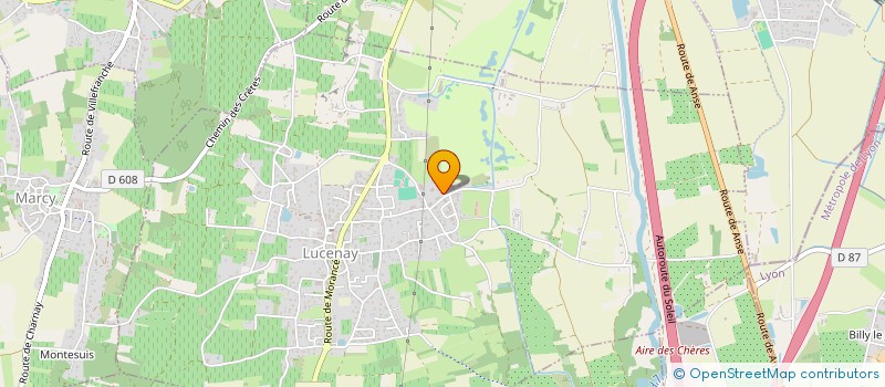 localisation de l'entreprise MONSIEUR PIERRE FLORES FLORES  VILLEFRANCHE-SUR-SAONE