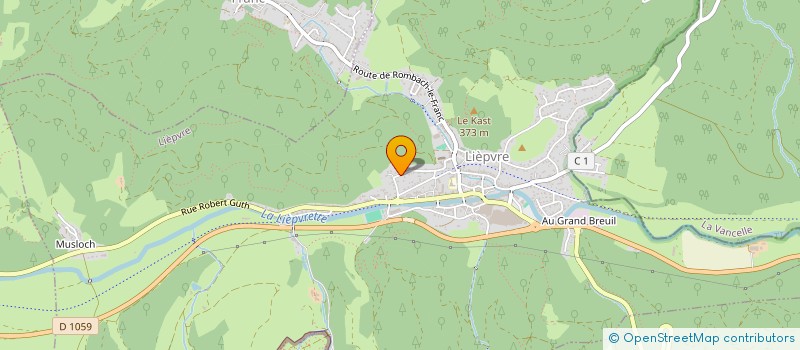 localisation de l'entreprise MONSIEUR PIERRE GENEVE  LIEPVRE