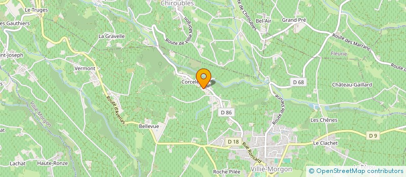 localisation de l'entreprise MONSIEUR PIERRE GEOFFROY  VILLIE MORGON