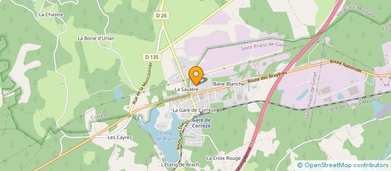 localisation de l'entreprise MONSIEUR PIERRE GODILLON SONNE  SAINT-PRIEST-DE-GIMEL