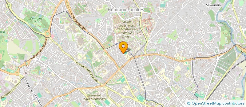 localisation de l'entreprise MONSIEUR PIERRE JEAN XAVIER CORBEAU à MONTPELLIER