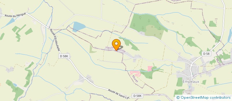 localisation de l'entreprise MONSIEUR PIERRE LAFFORGUE  EMPEAUX