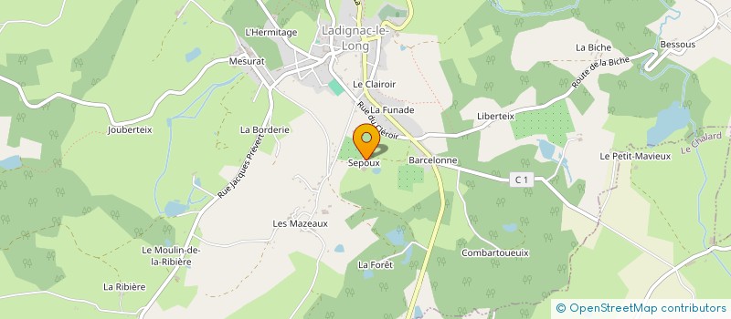 localisation de l'entreprise MONSIEUR PIERRE LALLET à LADIGNAC-LE-LONG