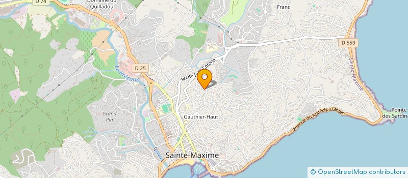 localisation de l'entreprise MONSIEUR PIERRE LATTIER à SAINTE-MAXIME
