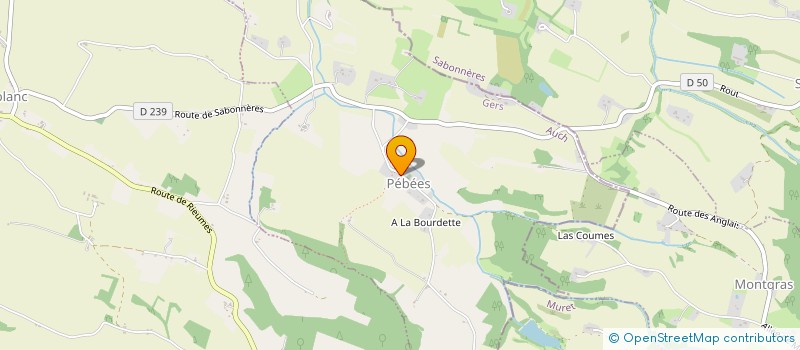 localisation de l'entreprise MONSIEUR PIERRE LE LEANNEC  PEBEES