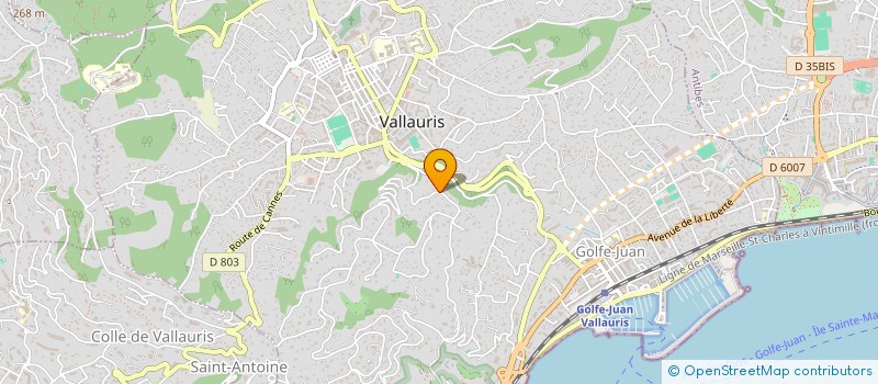 localisation de l'entreprise MONSIEUR PIERRE MALDINEY  VALLAURIS