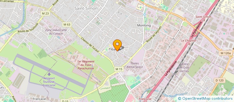localisation de l'entreprise MONSIEUR PIERRE MANGENOT à TOULOUSE