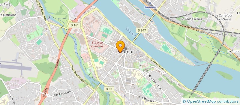 localisation de l'entreprise MONSIEUR PIERRE MARIE CHASSEING  SAUMUR