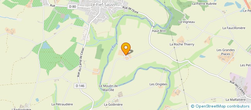 localisation de l'entreprise MONSIEUR PIERRE MARY  BEAUPREAU-EN-MAUGES