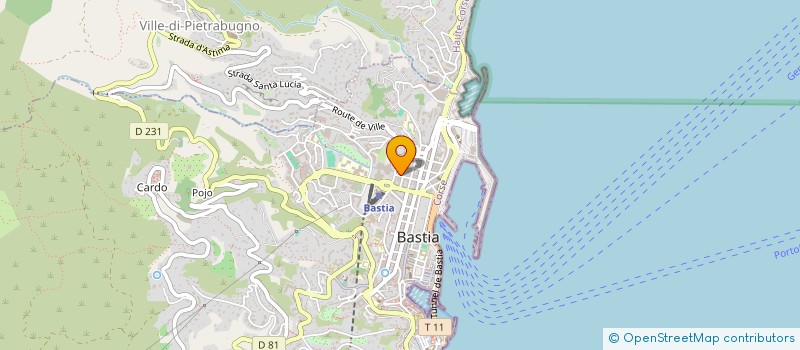 localisation de l'entreprise MONSIEUR PIERRE MASSIANI à BASTIA