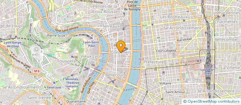 localisation de l'entreprise MONSIEUR PIERRE MATHEZ à LYON