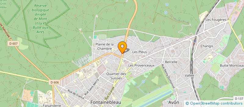 localisation de l'entreprise MONSIEUR PIERRE MATHIEU  FONTAINEBLEAU