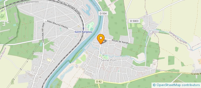 localisation de l'entreprise MONSIEUR PIERRE MATHIEU  SEINE-PORT