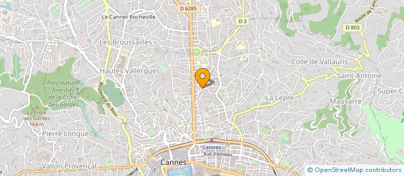 localisation de l'entreprise MONSIEUR PIERRE MAXIME BRANCHE  CANNES