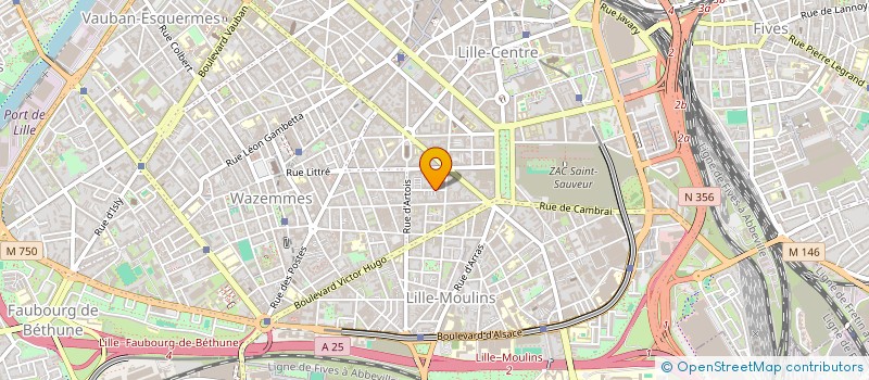localisation de l'entreprise MONSIEUR PIERRE MAYEUX à LILLE