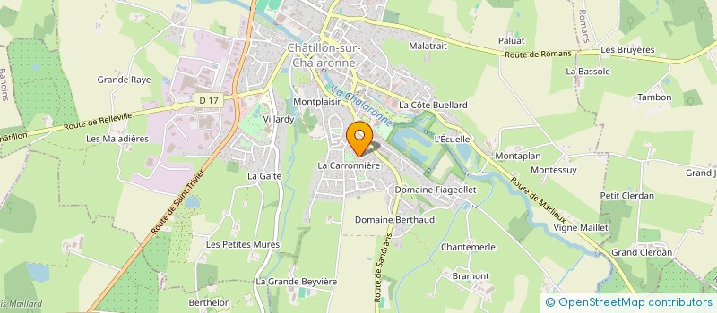 localisation de l'entreprise MONSIEUR PIERRE MICHELI à CHATILLON-SUR-CHALARONNE