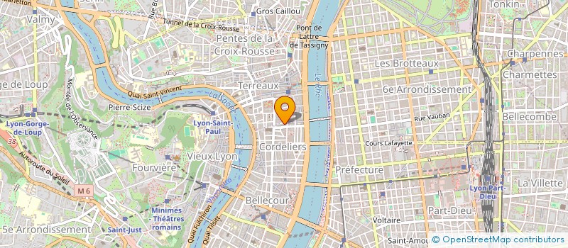 localisation de l'entreprise MONSIEUR PIERRE MICHOU-SAUCET  LYON