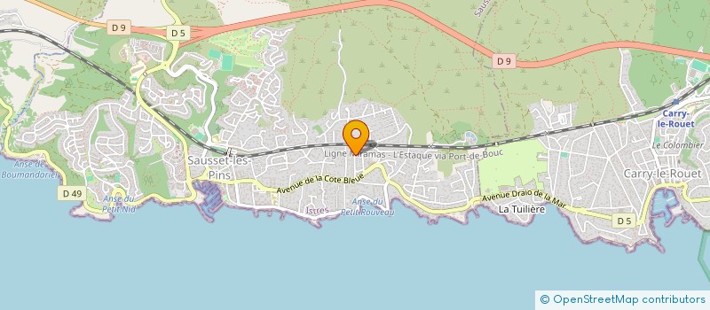 localisation de l'entreprise MONSIEUR PIERRE PELEYROL  SAUSSET-LES-PINS