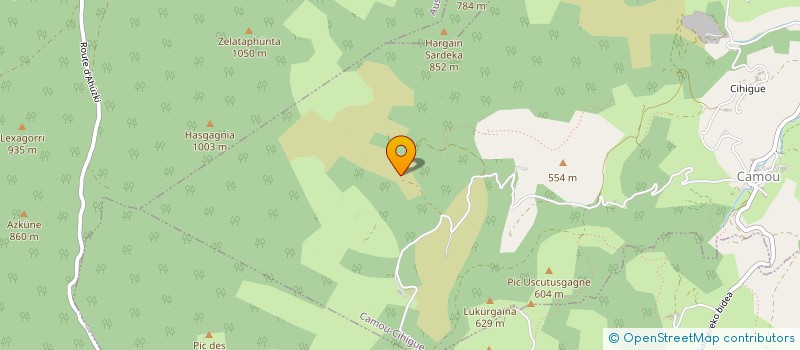 localisation de l'entreprise MONSIEUR PIERRE PETIT  CAMOU-CIHIGUE