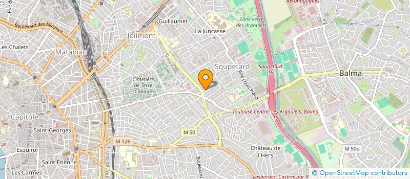 localisation de l'entreprise MONSIEUR PIERRE PIQUE à TOULOUSE