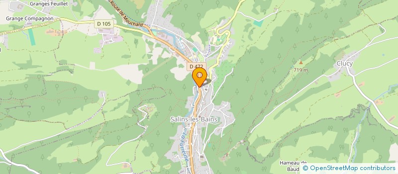 localisation de l'entreprise MONSIEUR PIERRE PLACUZZI à SALINS-LES-BAINS