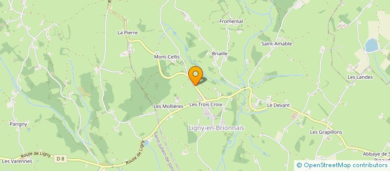 localisation de l'entreprise MONSIEUR PIERRE POMMIER  LIGNY-EN-BRIONNAIS