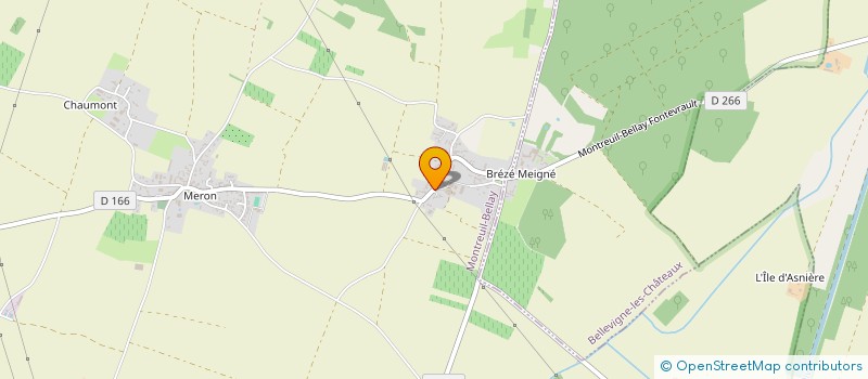 localisation de l'entreprise MONSIEUR PIERRE POUPIN  MONTREUIL-BELLAY