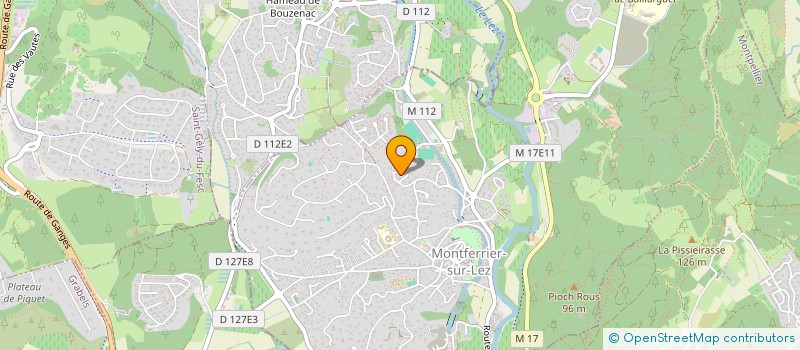 localisation de l'entreprise MONSIEUR PIERRE PUIG  MONTFERRIER-SUR-LEZ