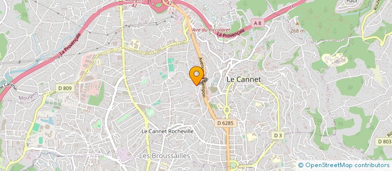localisation de l'entreprise MONSIEUR PIERRE RABOURDIN à LE CANNET