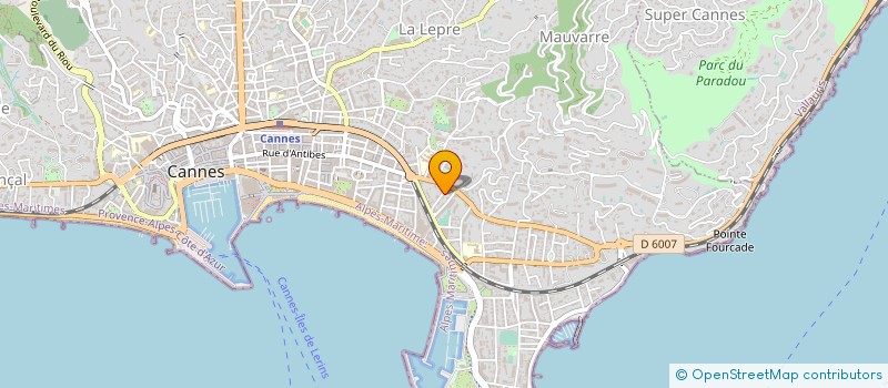 localisation de l'entreprise MONSIEUR PIERRE REPELLIN à CANNES