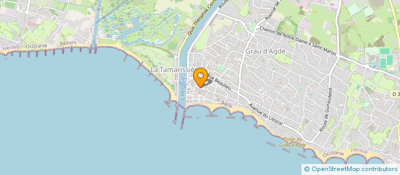 localisation de l'entreprise MONSIEUR PIERRE RIBOUS  AGDE