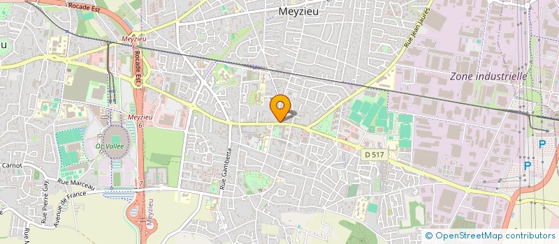 localisation de l'entreprise MONSIEUR PIERRE RICOUT à MEYZIEU