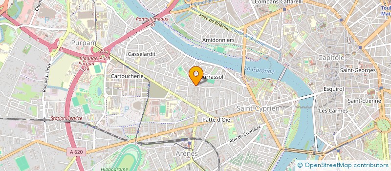 localisation de l'entreprise MONSIEUR PIERRE RIGAL ORIOT à TOULOUSE