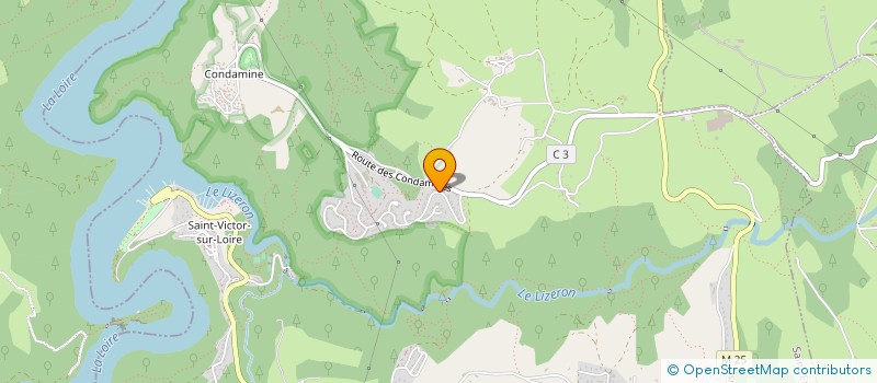 localisation de l'entreprise MONSIEUR PIERRE RODRIGUEZ-ROJAS  SAINT-ETIENNE