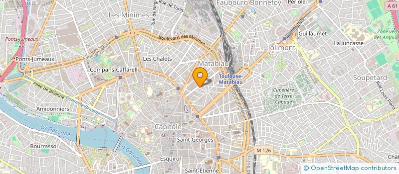 localisation de l'entreprise MONSIEUR PIERRE ROUJOU DE BOUBEE  TOULOUSE