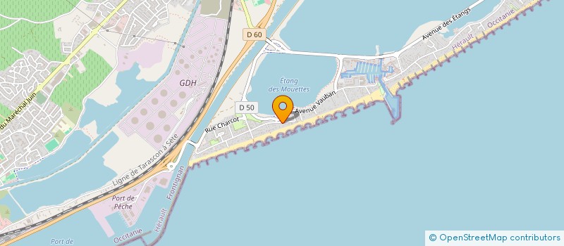 localisation de l'entreprise MONSIEUR PIERRE RUNEL à FRONTIGNAN