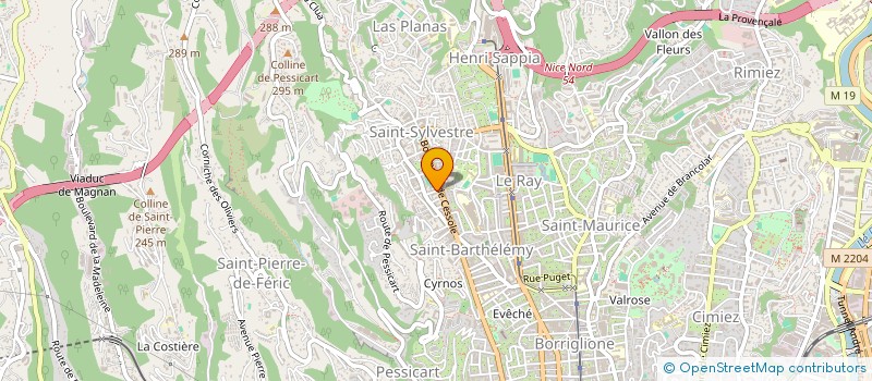 localisation de l'entreprise MONSIEUR PIERRE SALERNO à NICE
