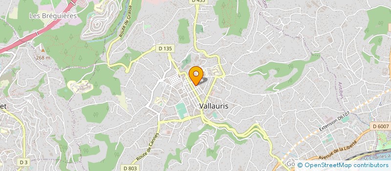 localisation de l'entreprise MONSIEUR PIERRE SOLDANO à VALLAURIS