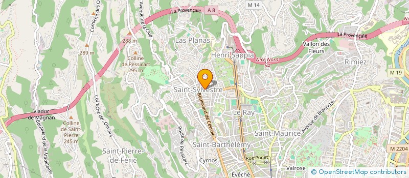 localisation de l'entreprise MONSIEUR PIERRE THIBAUD à NICE