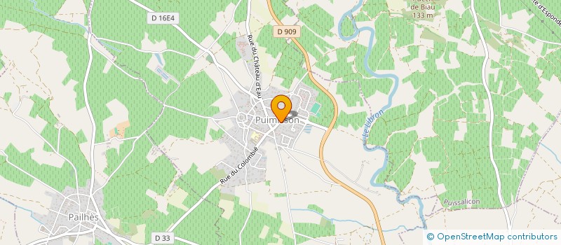 localisation de l'entreprise MONSIEUR PIERRE THIBULT  PUIMISSON