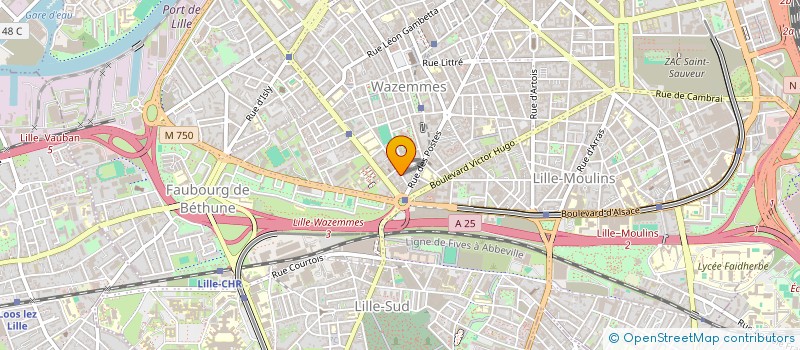 localisation de l'entreprise MONSIEUR PIERRE TILMONT à LILLE