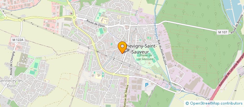 localisation de l'entreprise MONSIEUR PIERRE VERRY à CHEVIGNY-SAINT-SAUVEUR