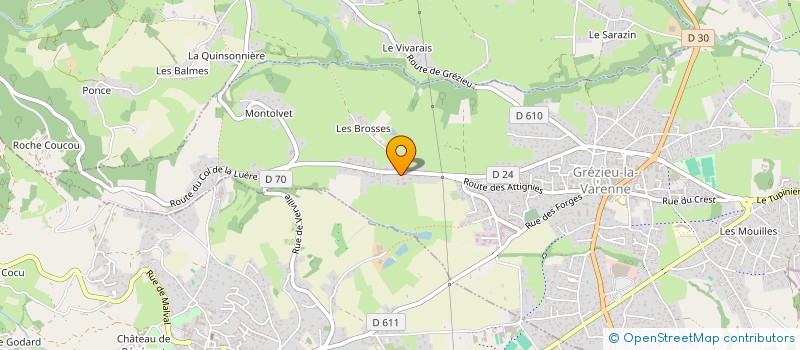 localisation de l'entreprise MONSIEUR PIERRE VIRICEL  GREZIEU-LA-VARENNE