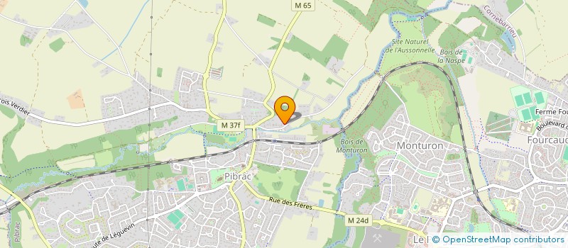 localisation de l'entreprise MONSIEUR PIERRE-YVES CHASSAGNE  PIBRAC