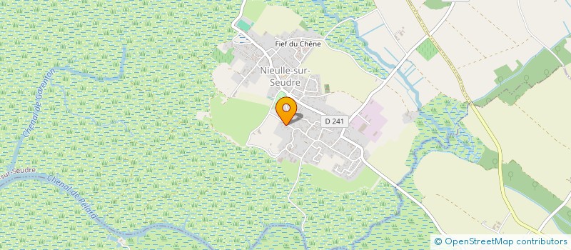 localisation de l'entreprise MONSIEUR PIERRICK BOSSIS  NIEULLE-SUR-SEUDRE