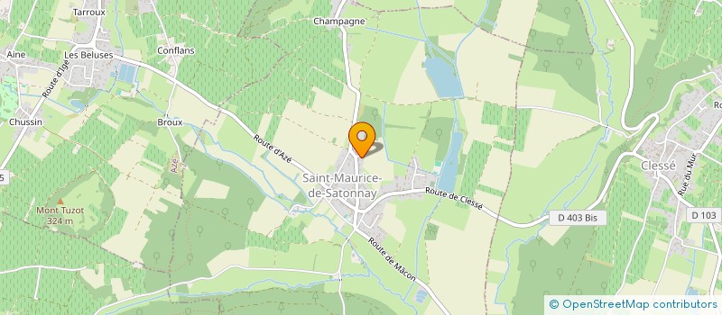 localisation de l'entreprise MONSIEUR PIERRICK CHAINTREUIL  SAINT-MAURICE-DE-SATONNAY