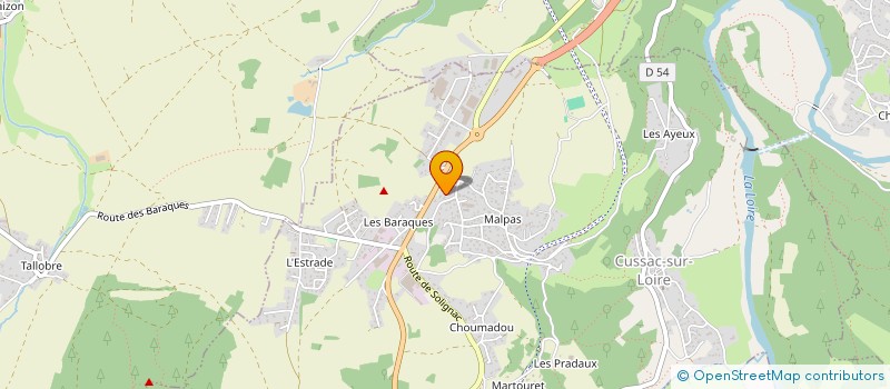 localisation de l'entreprise MONSIEUR PIERRICK NOISETTE à CUSSAC-SUR-LOIRE